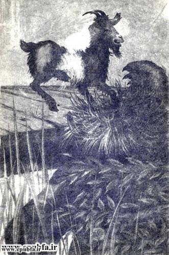 کتاب قصه کودکانه سه بزغاله باهوش - آرشیو قصه و داستان ایپابفا-